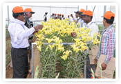 horti india