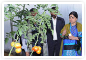 horti india