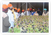 horti india