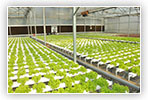 www.hortiindia.com