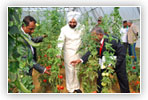 www.hortiindia.com