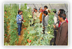 www.hortiindia.com