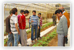 www.hortiindia.com